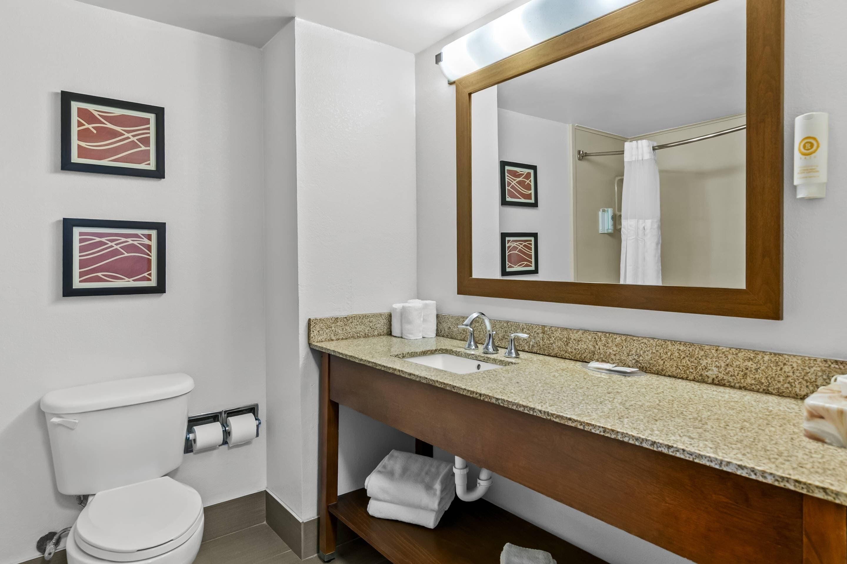 A bathroom with a toilet, sink, mirror, and towel rack.
