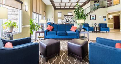 Comfort Inn & Suites Greenwood near University