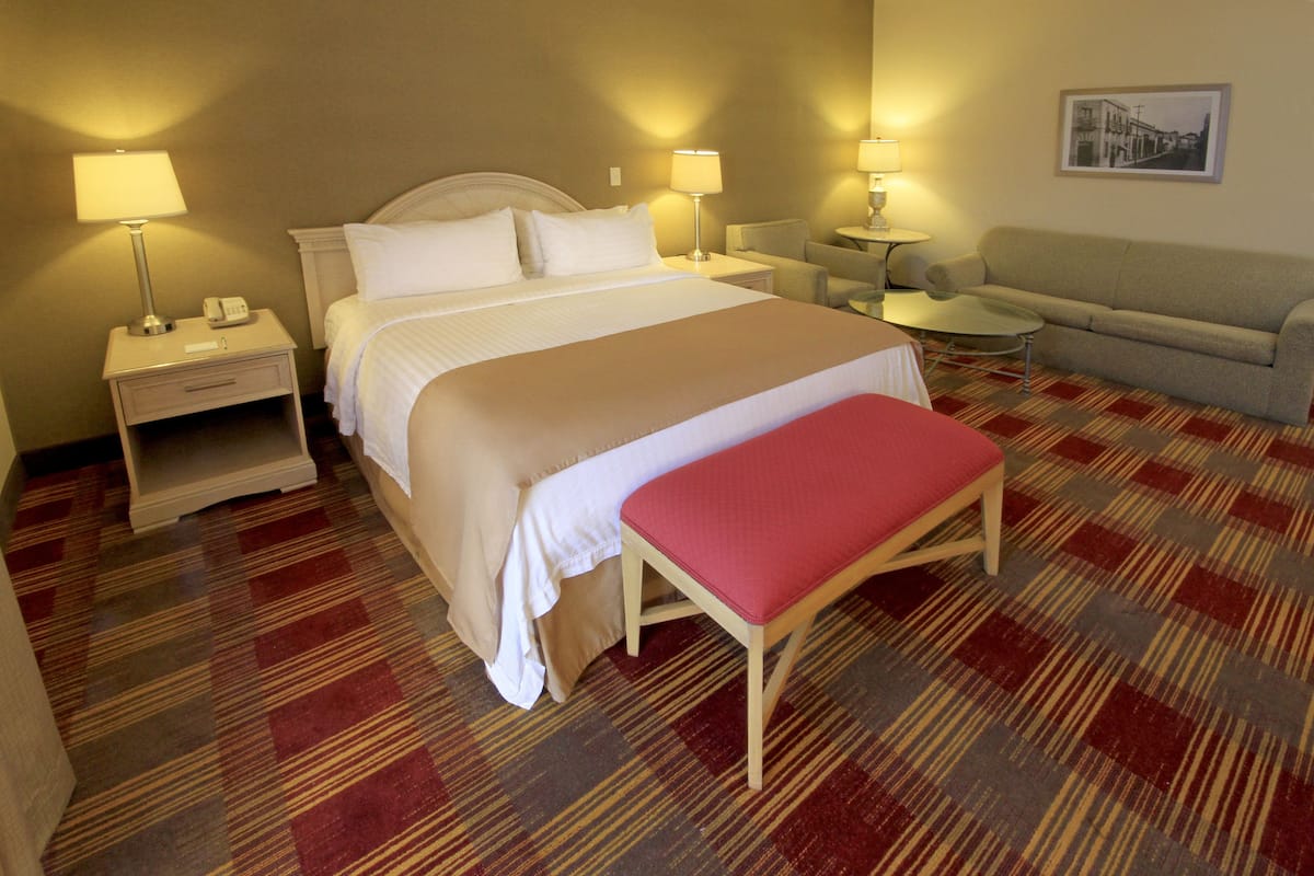 Premium Room, 1 King Bed | Minibar, in-room safe, iron/ironing board, WiFi (free)