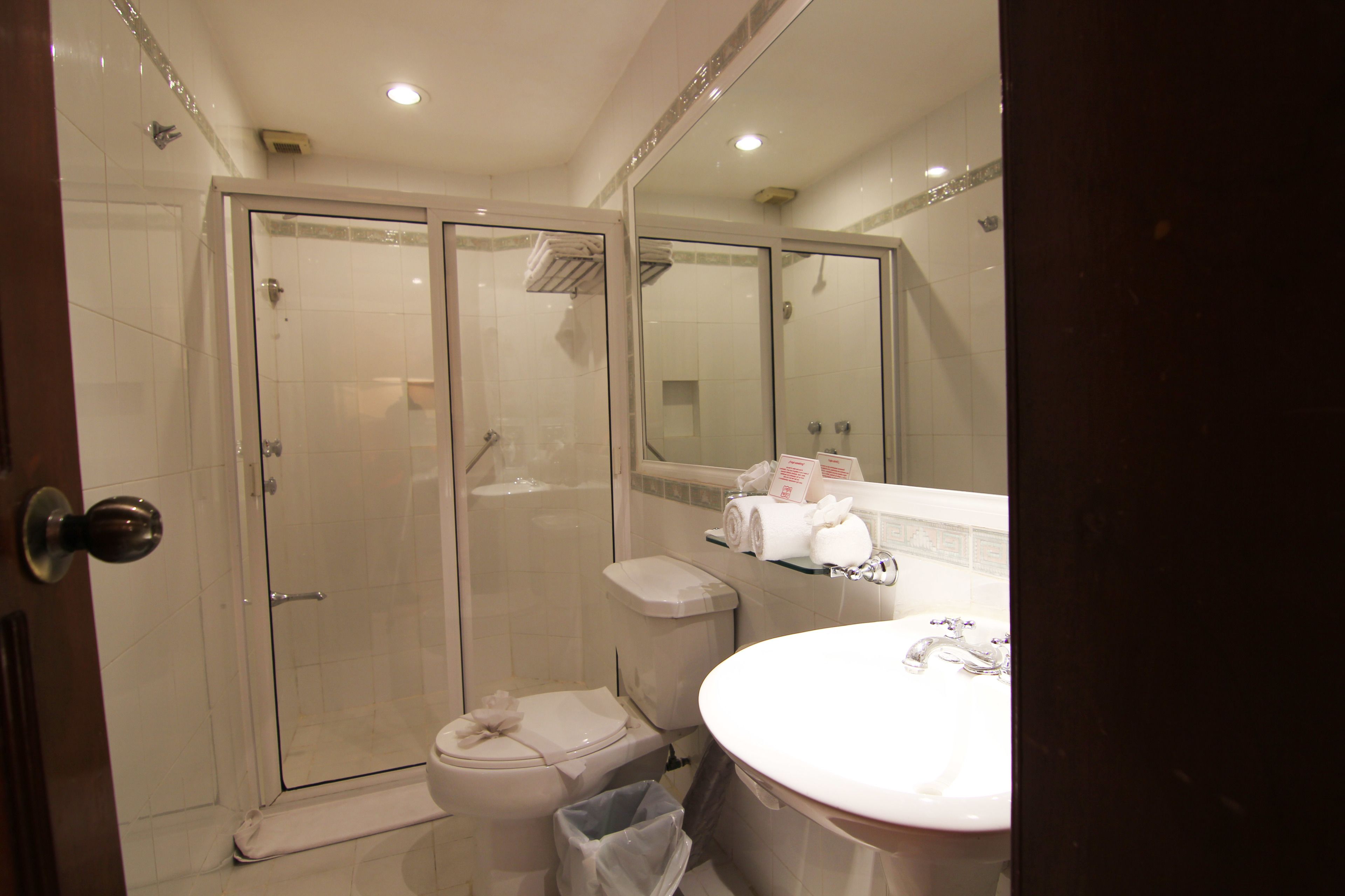 A bathroom with a glass-enclosed shower, a toilet, and a sink with a mirror above it.