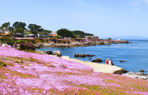 Pantai di sekitar