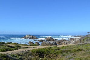 Vue sur la plage ou l’océan