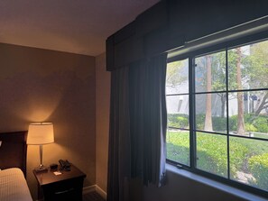View from room
