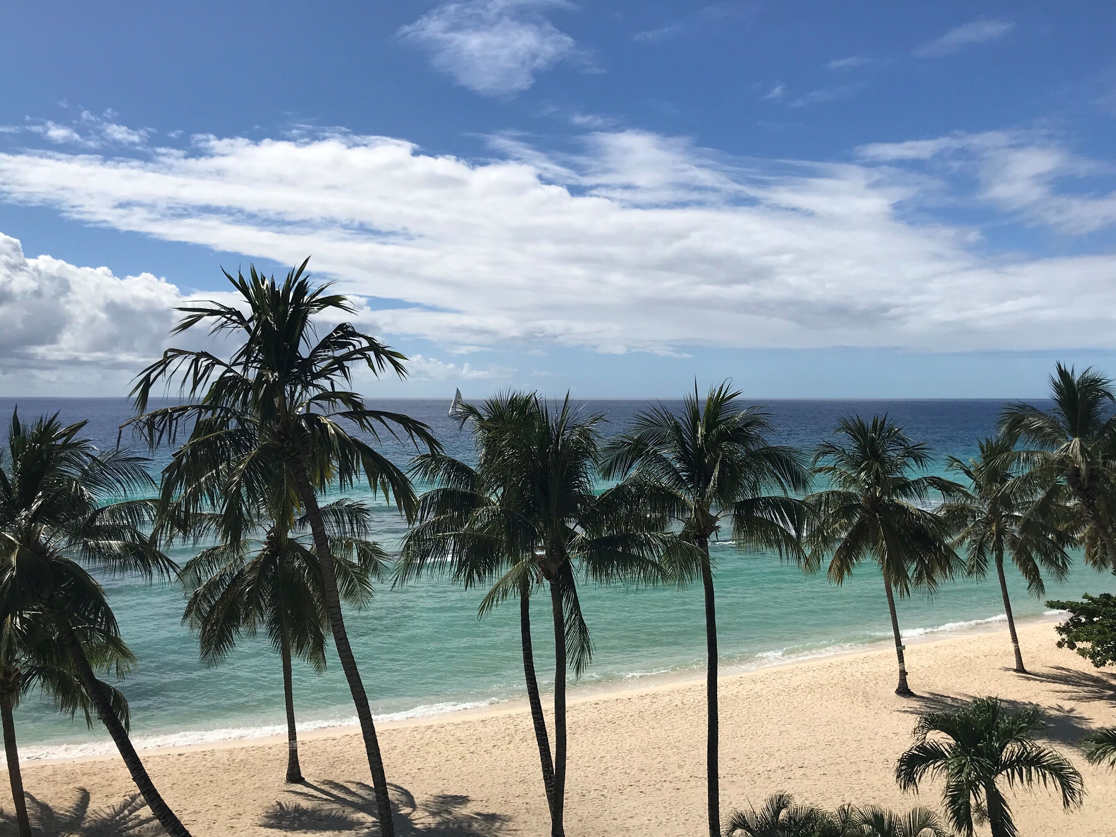 Vue sur la plage ou l’océan
