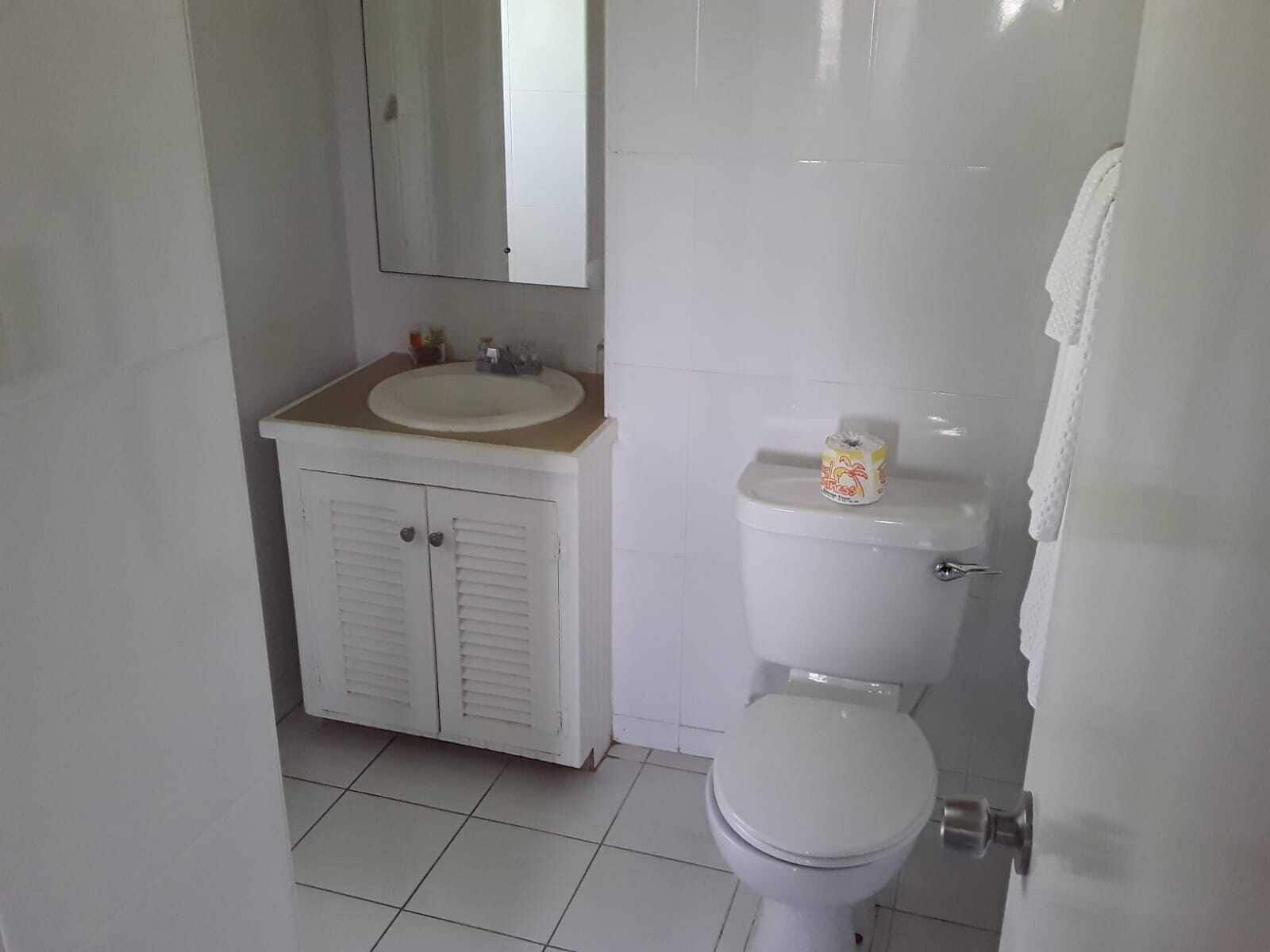 Un baño con inodoro, lavamanos y espejo.