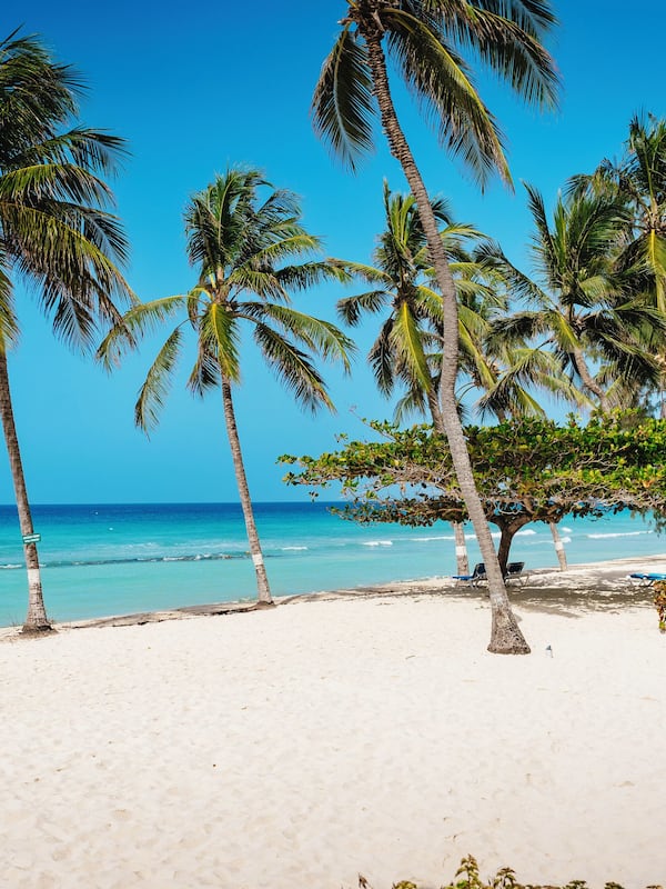 On the beach, white sand, sun loungers, beach towels