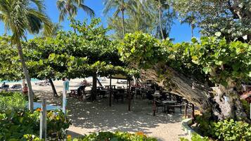 Ein Restaurant direkt am Strand mit Außenbereich, umgeben von üppiger Vegetation und Palmen.