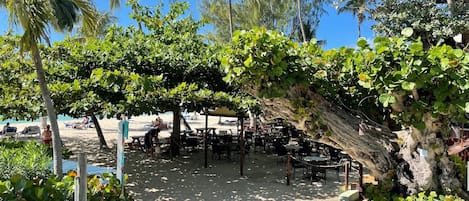 Ein Restaurant direkt am Strand mit Außenbereich, umgeben von üppiger Vegetation und Palmen.