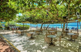 Beach bar