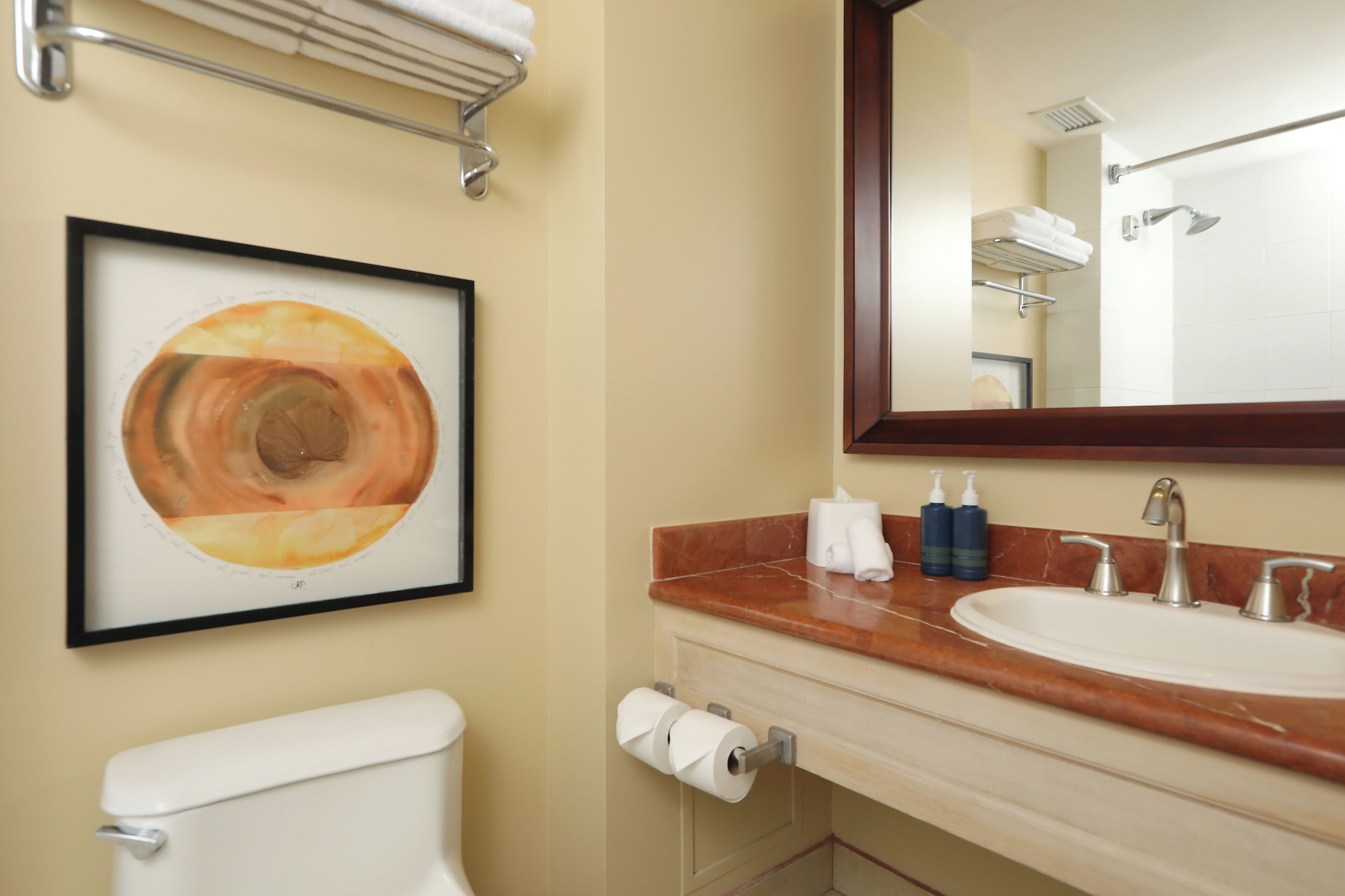 combined shower/bathtub, rainfall showerhead, free toiletries