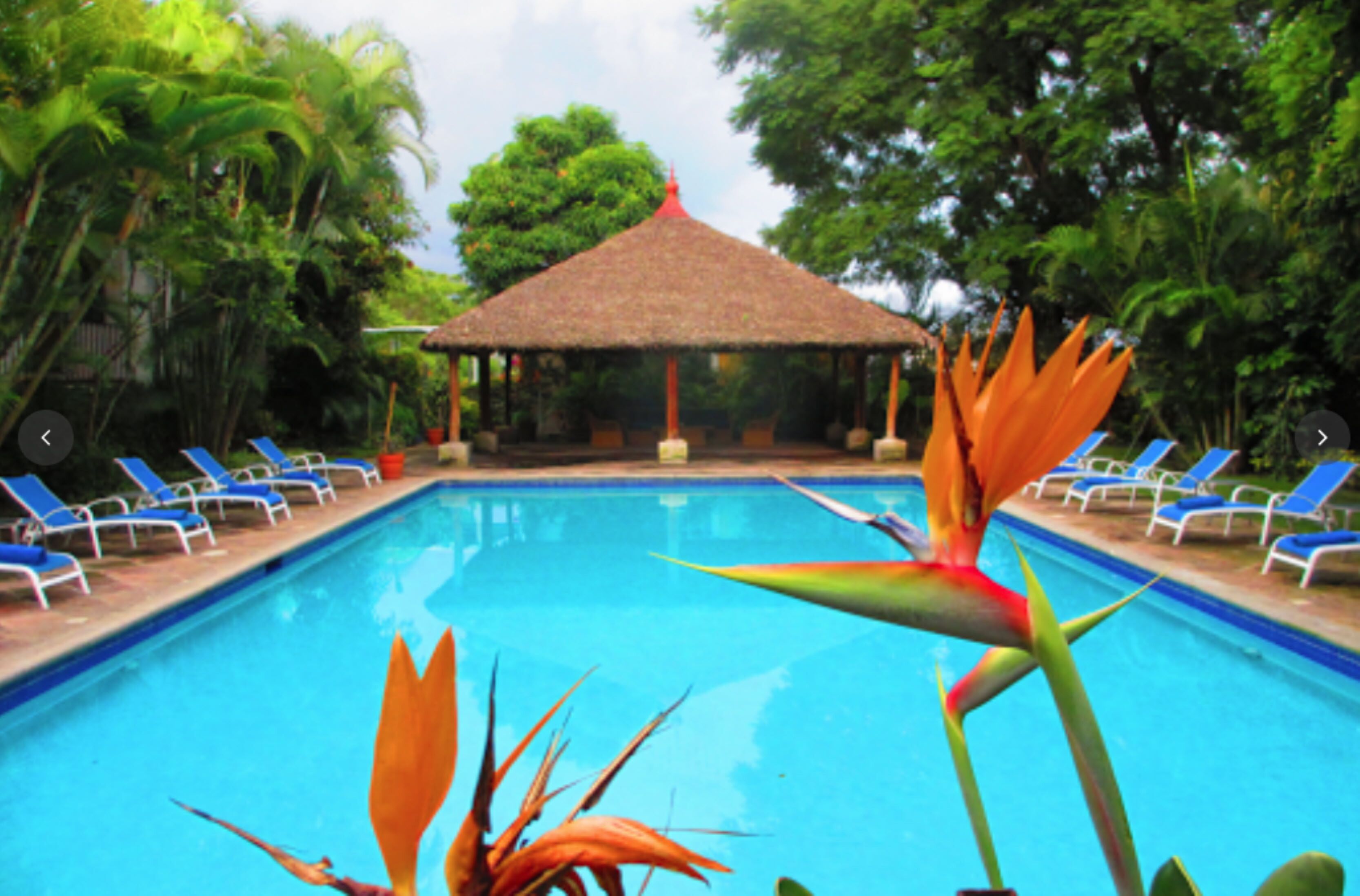 Alberca al aire libre 