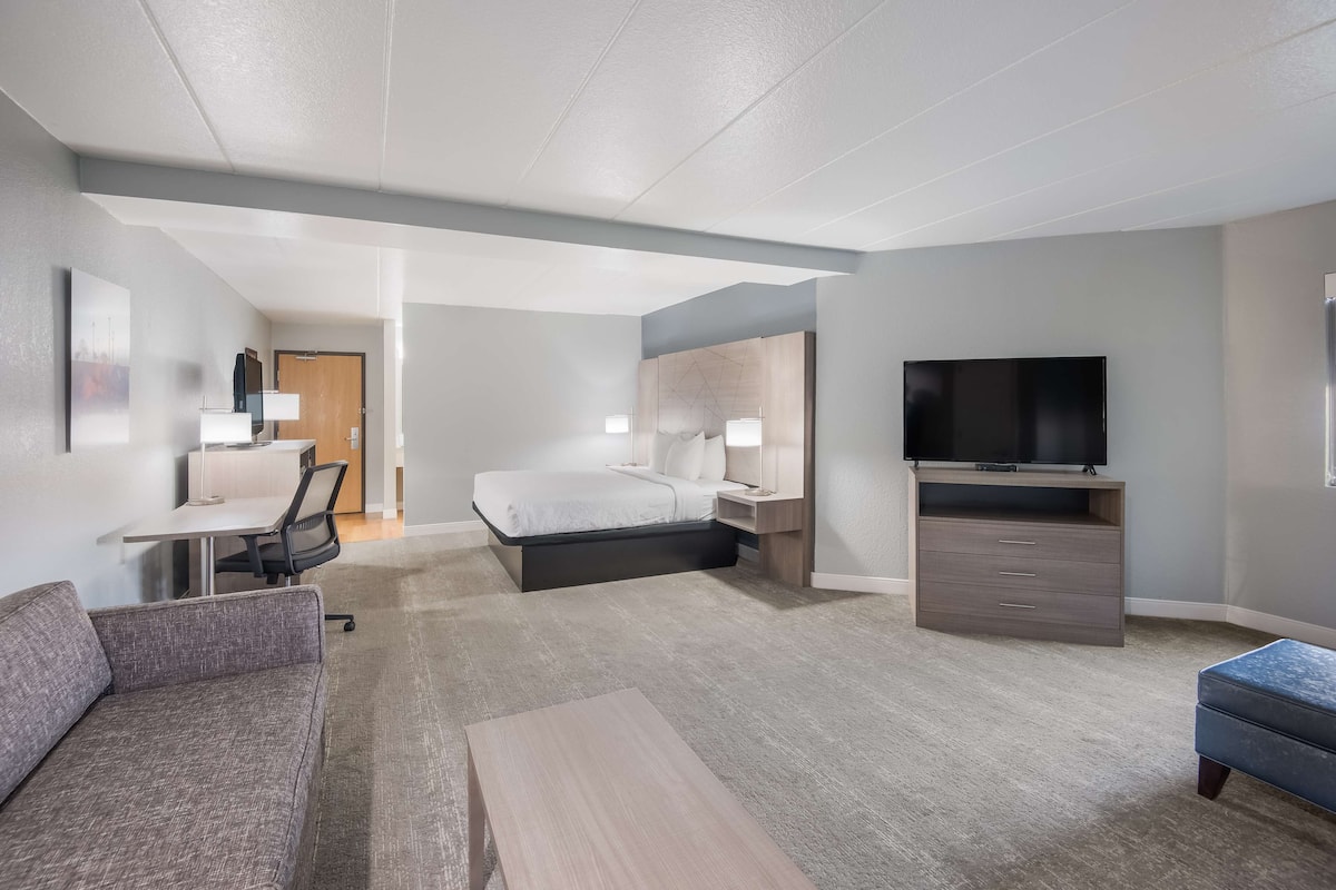 Ein modernes Hotelzimmer mit Bett, Schreibtisch, Stuhl, Fernseher und einer Couch.