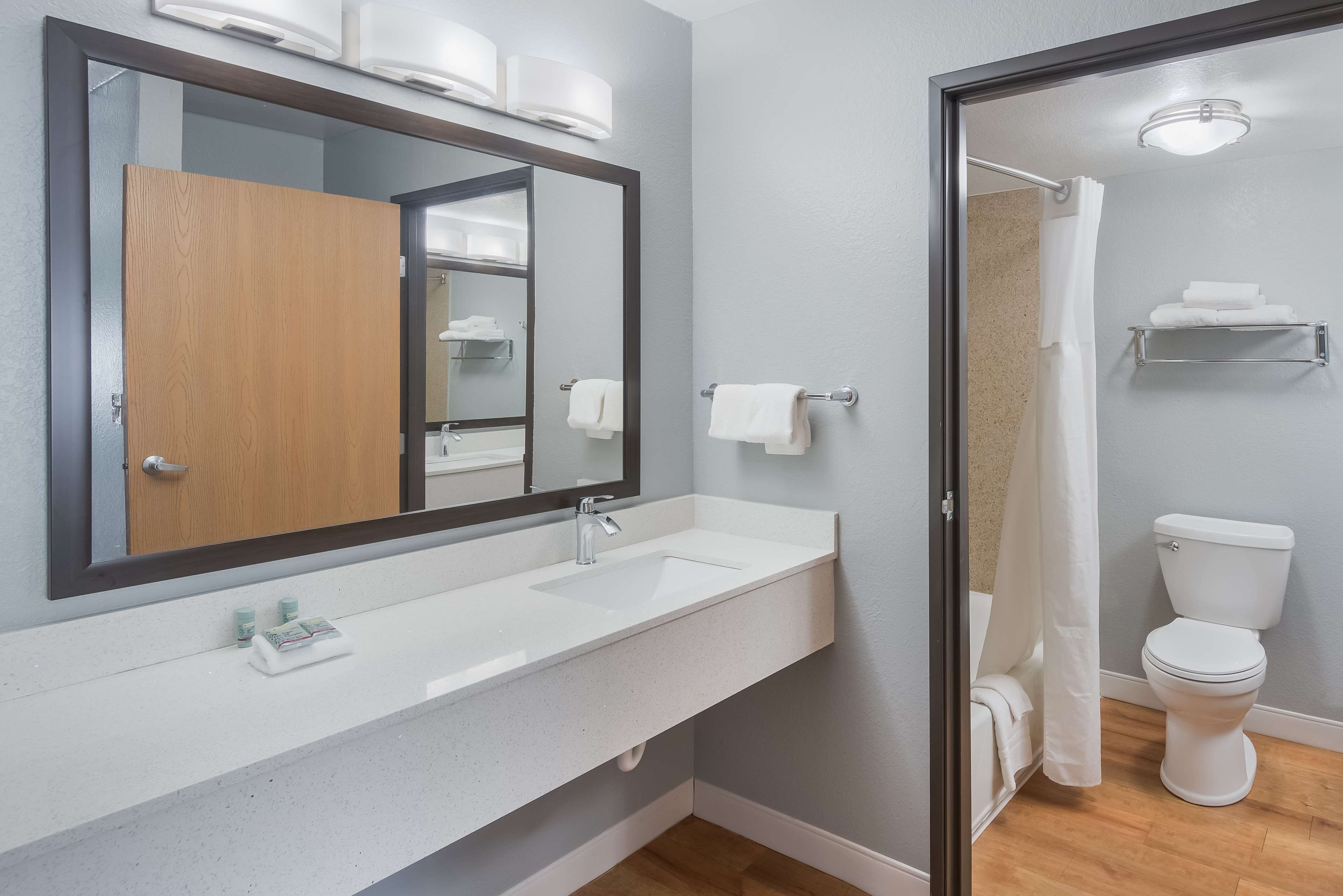 Suite, 1 kingsize bed, niet-roken, koelkast & magnetron (with Sofabed) | Badkamer | Een bad/douchecombinatie, gratis toiletartikelen, een haardroger