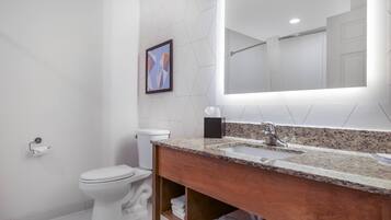 Un baño moderno con inodoro blanco, lavamanos con encimera de granito y un espejo grande.