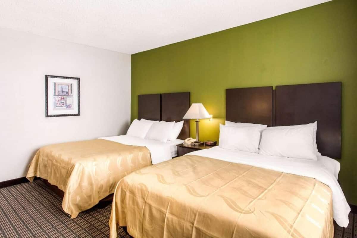 A hotel room with two beds, a green accent wall, a framed picture on the wall, and a nightstand with a lamp.
