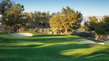 Un campo da golf con bunker di sabbia e alberi.