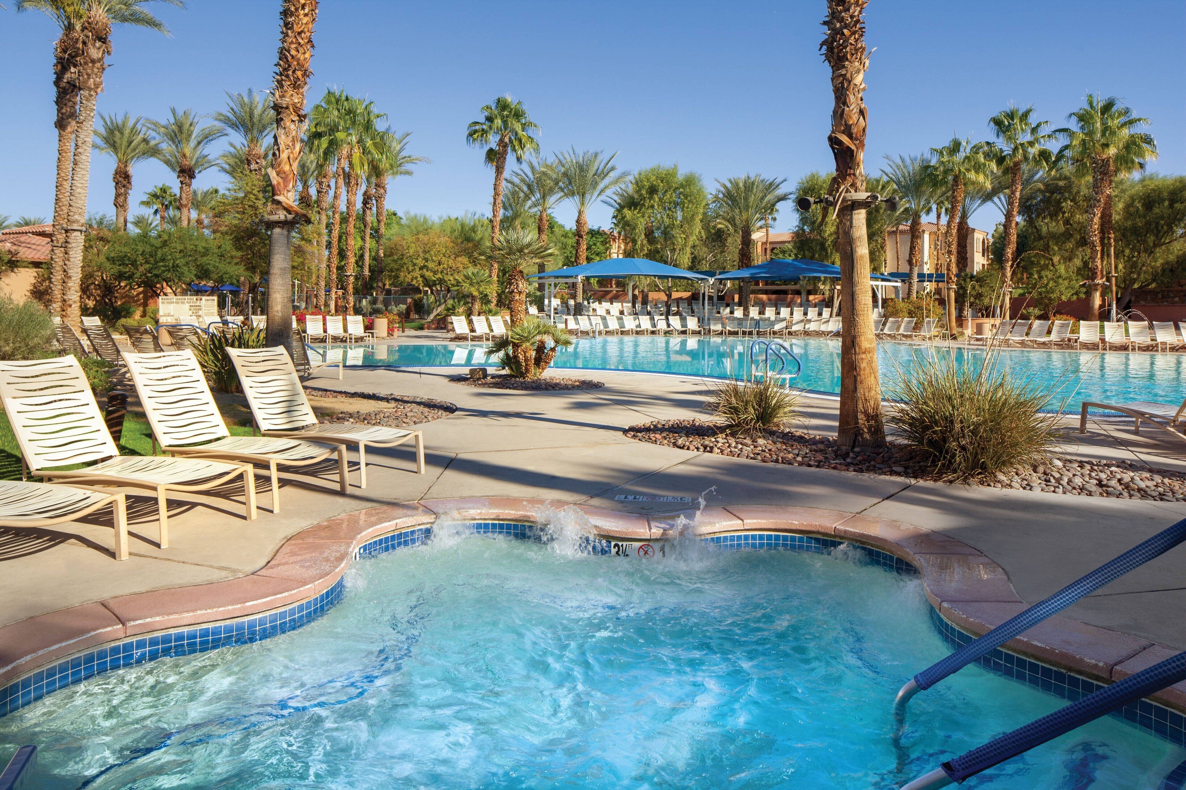 A pool area with lounge chairs and palm trees.