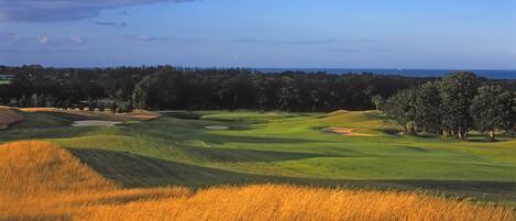 A golf course with a clear sky, trees, and a distant view of the ocean.