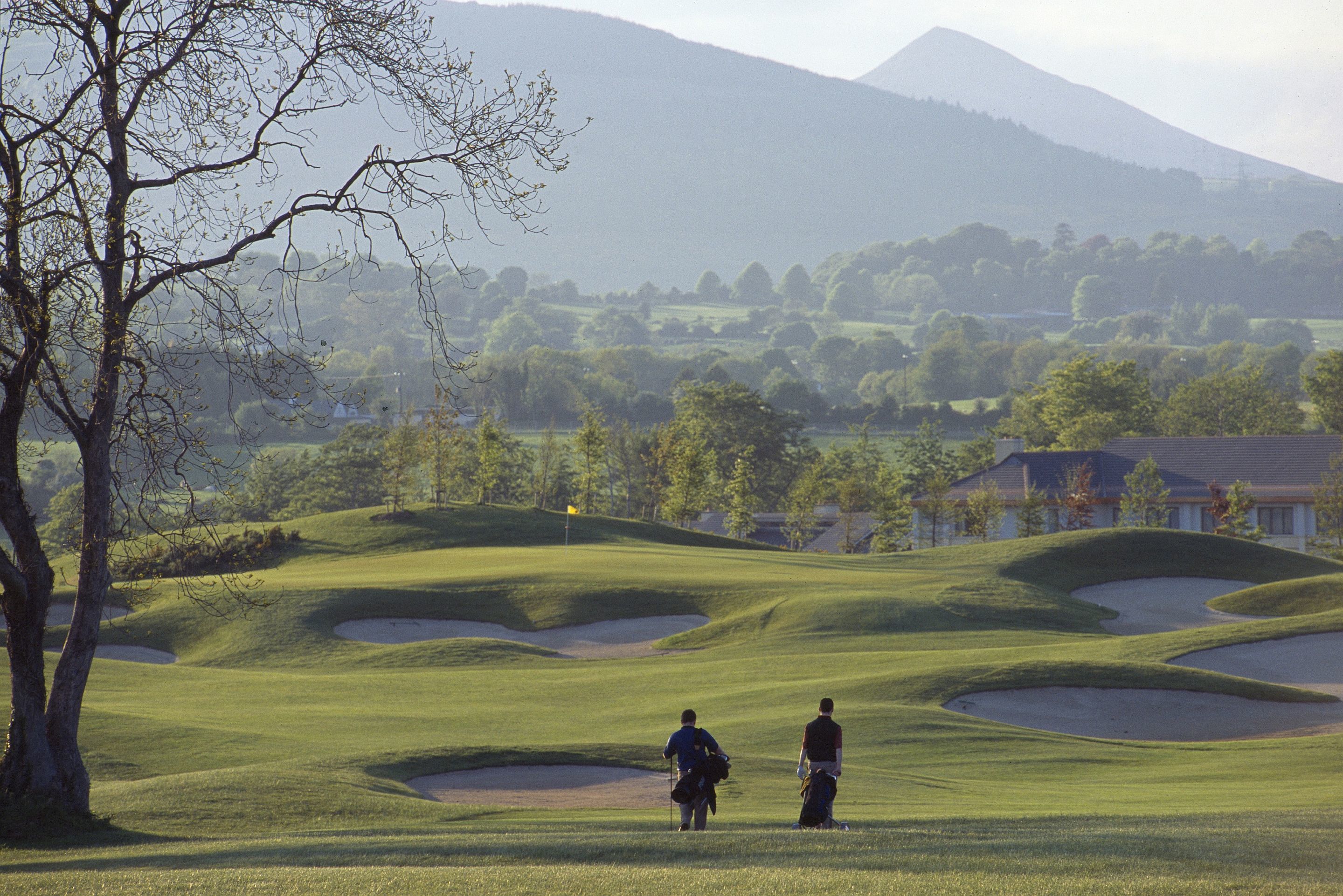 A golf course with rolling hills, a flagstick, and a tree.