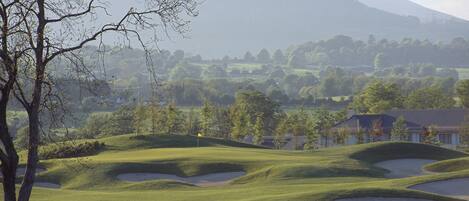 A golf course with rolling hills, a flagstick, and a tree.