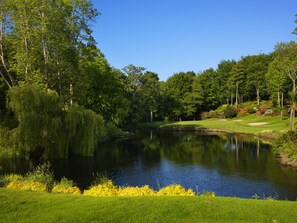 Golf - Druids Glen Hotel & Golf Resort (Kilmullin)