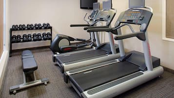 A gym with treadmills, dumbbells, and a bench.