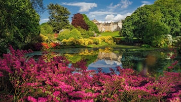 A historic building with a reflective pond surrounded by vibrant pink flowers and lush greenery.