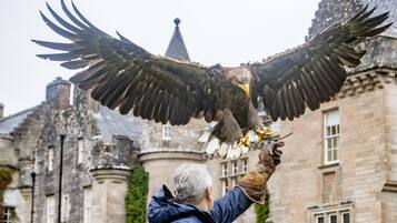 A person holding a large bird of prey, likely an eagle, with outstretched wings.
