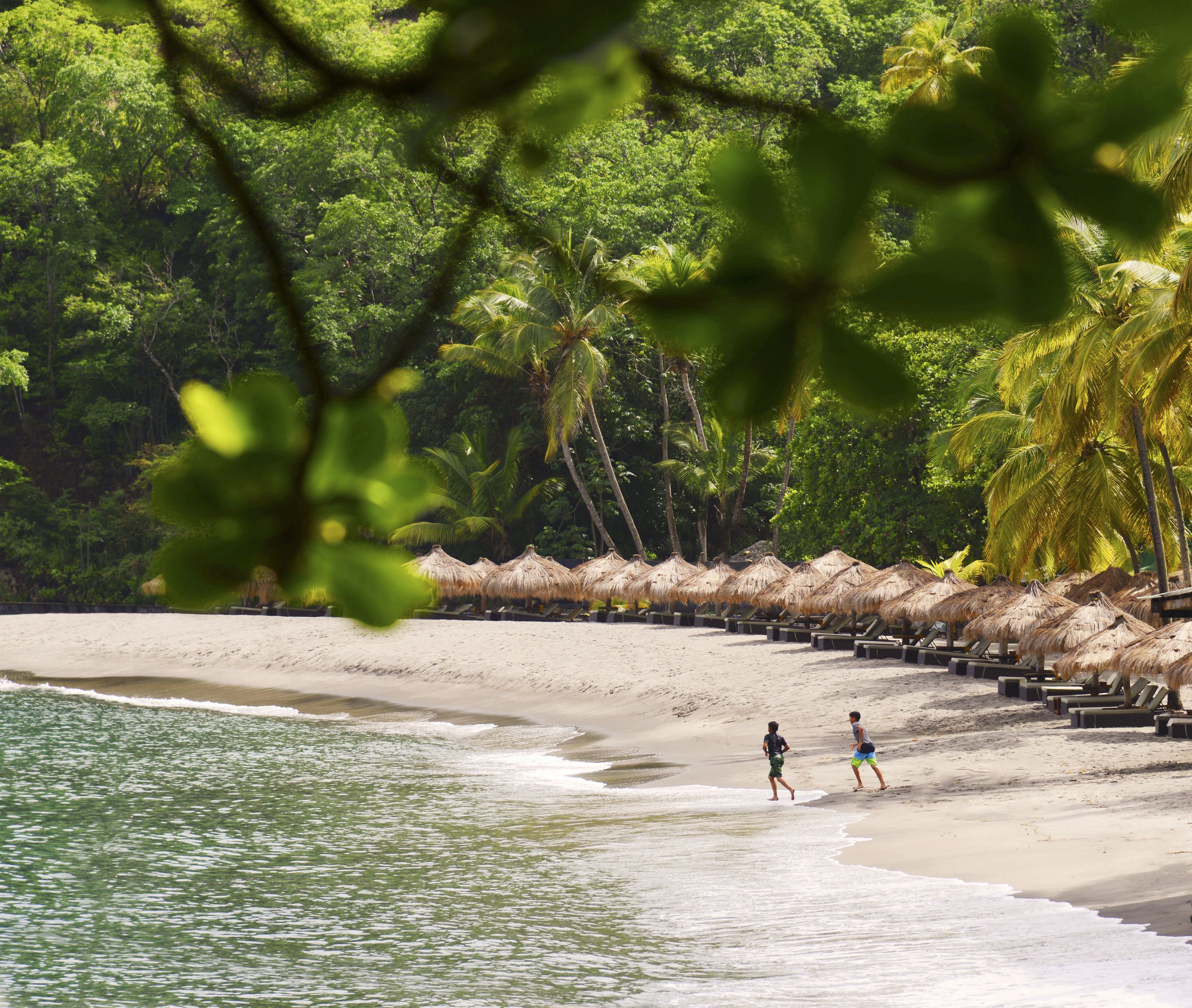 A beach with thatched umbrellas and palm trees.