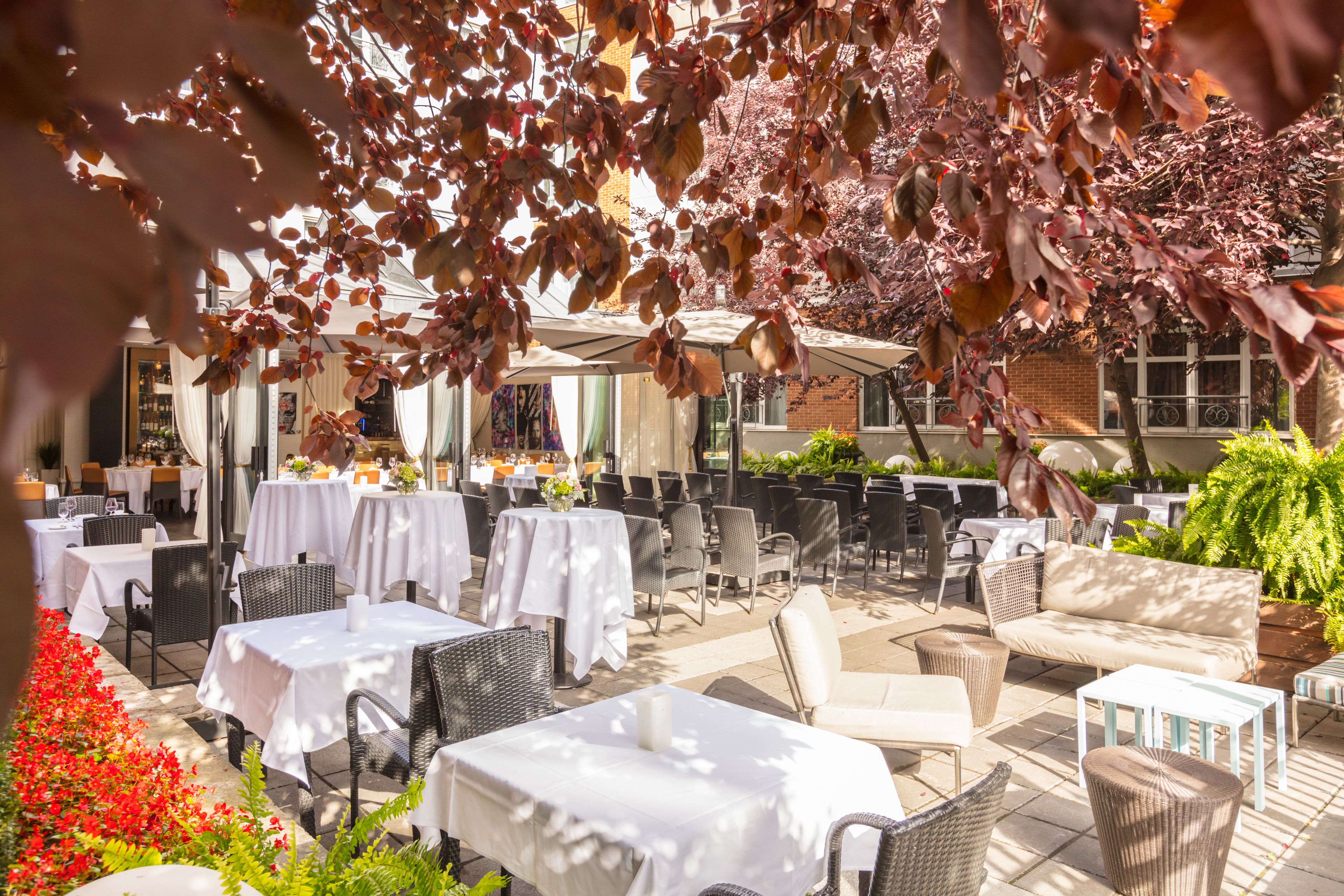 Foto - Hôtel Saint-Sulpice