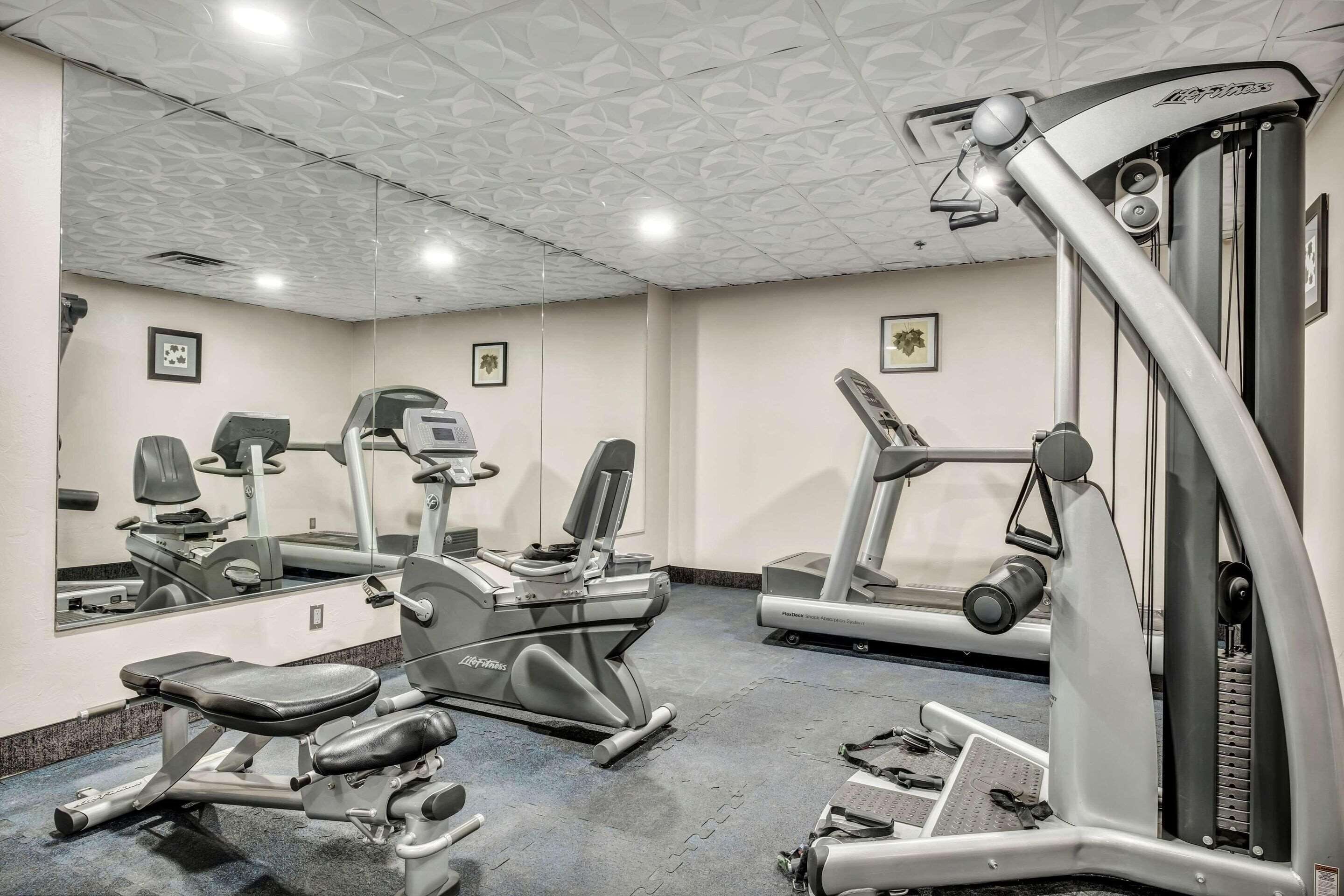 Un gimnasio con máquinas de cardio, estaciones de pesas y un espejo grande.