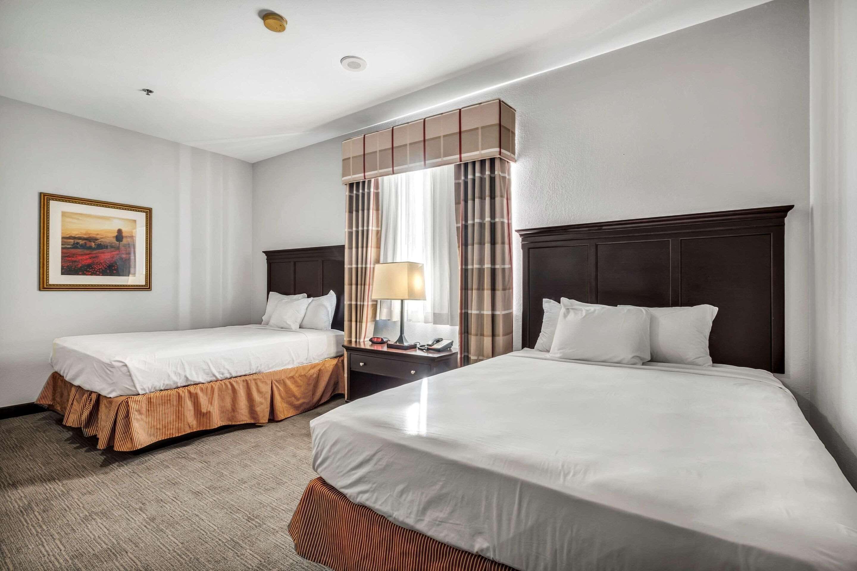 A hotel room with two beds, a large window with curtains, a bedside table with a lamp, and a framed picture on the wall.
