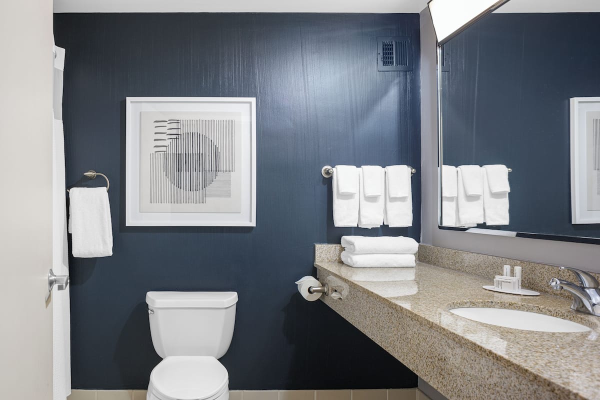 free toiletries, hair dryer, towels, soap