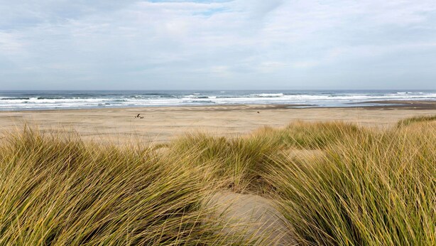 A beach with sand dunes and the ocean in the background. - Days Inn by Wyndham Newport OR (Newport)