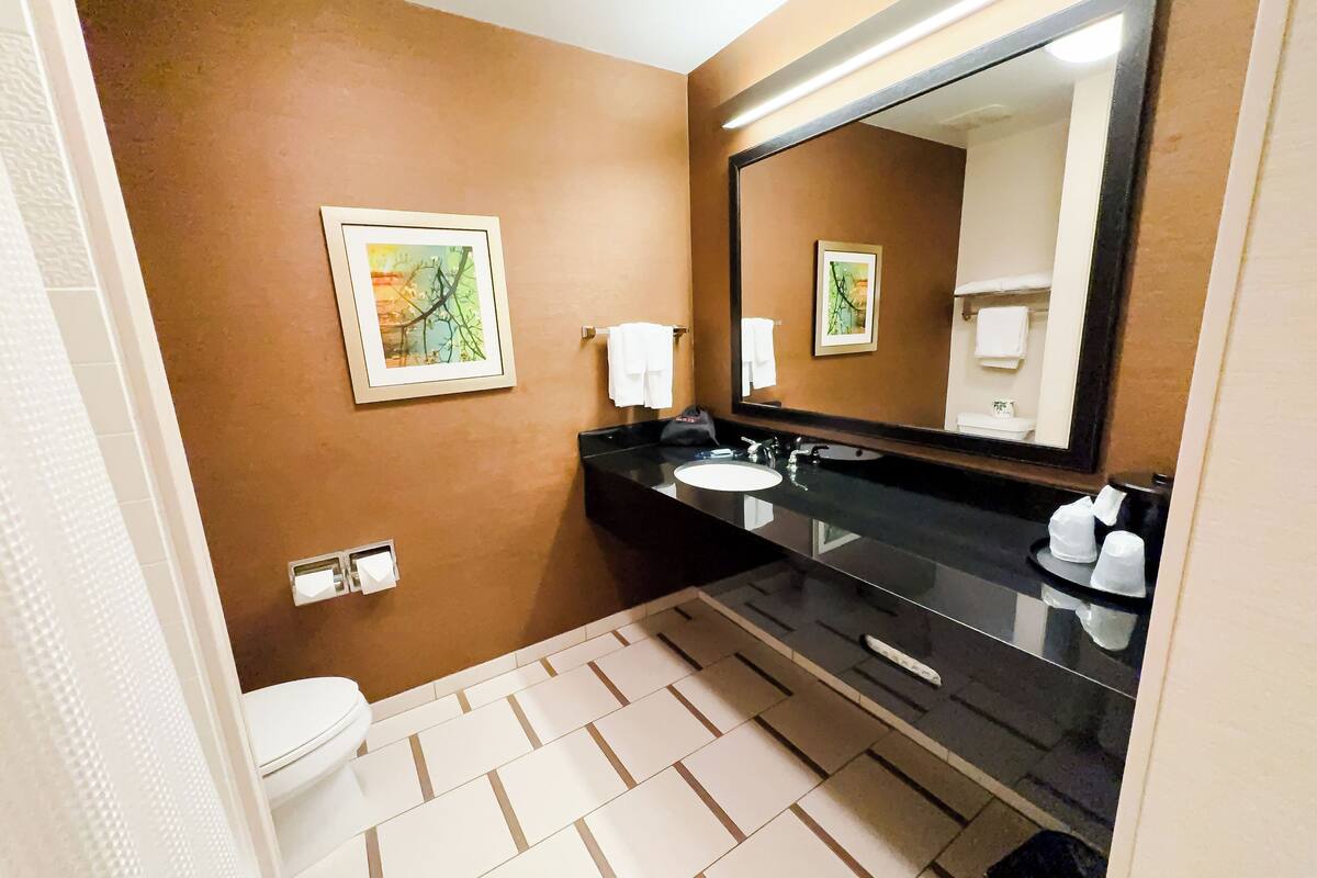 executive suite, 1 king bed with sofa bed, non smoking | bathroom | combined shower/bathtub, hair dryer, towels, soap