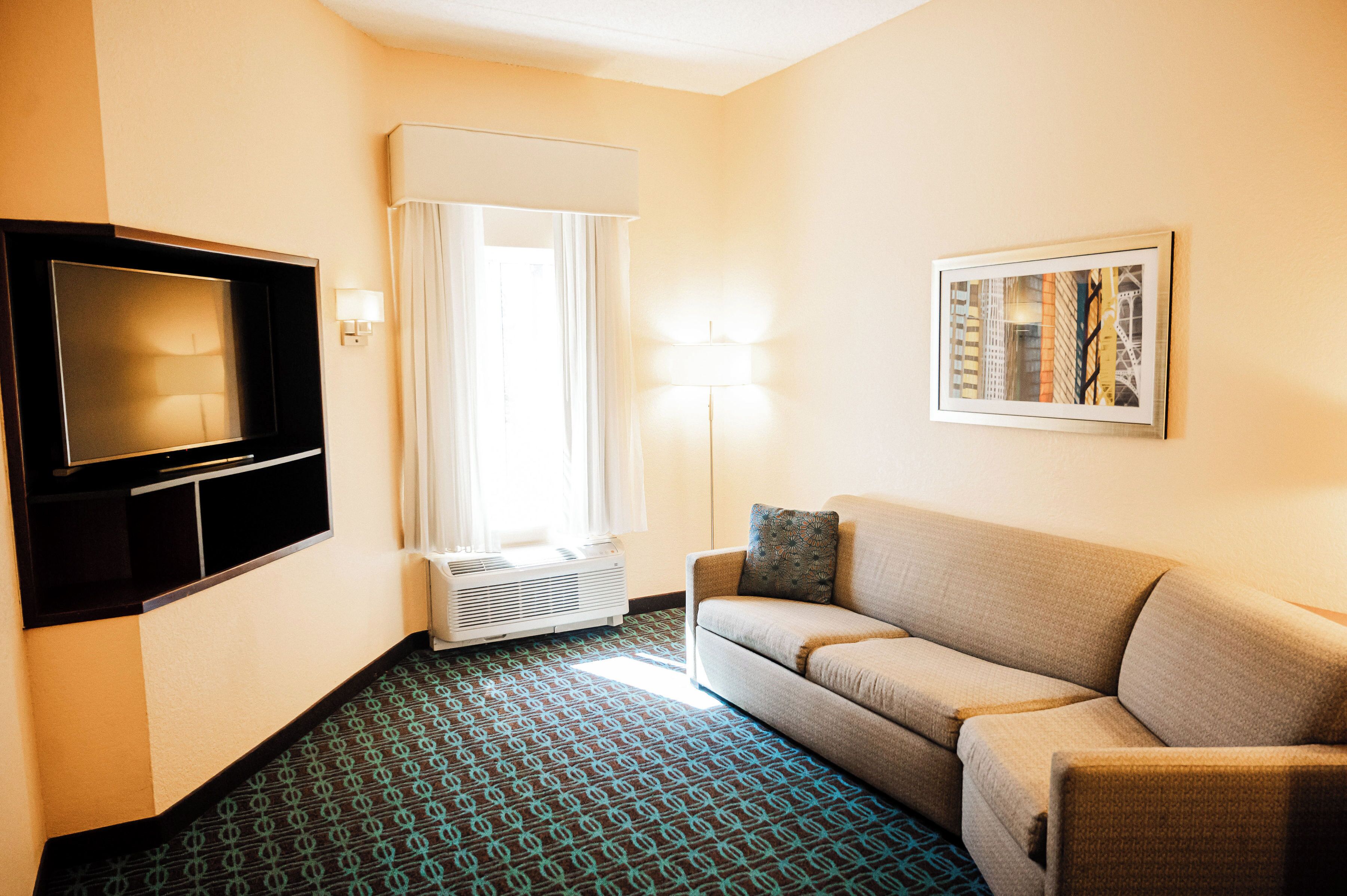 suite, 1 king bed with sofa bed, non smoking | living area | tv