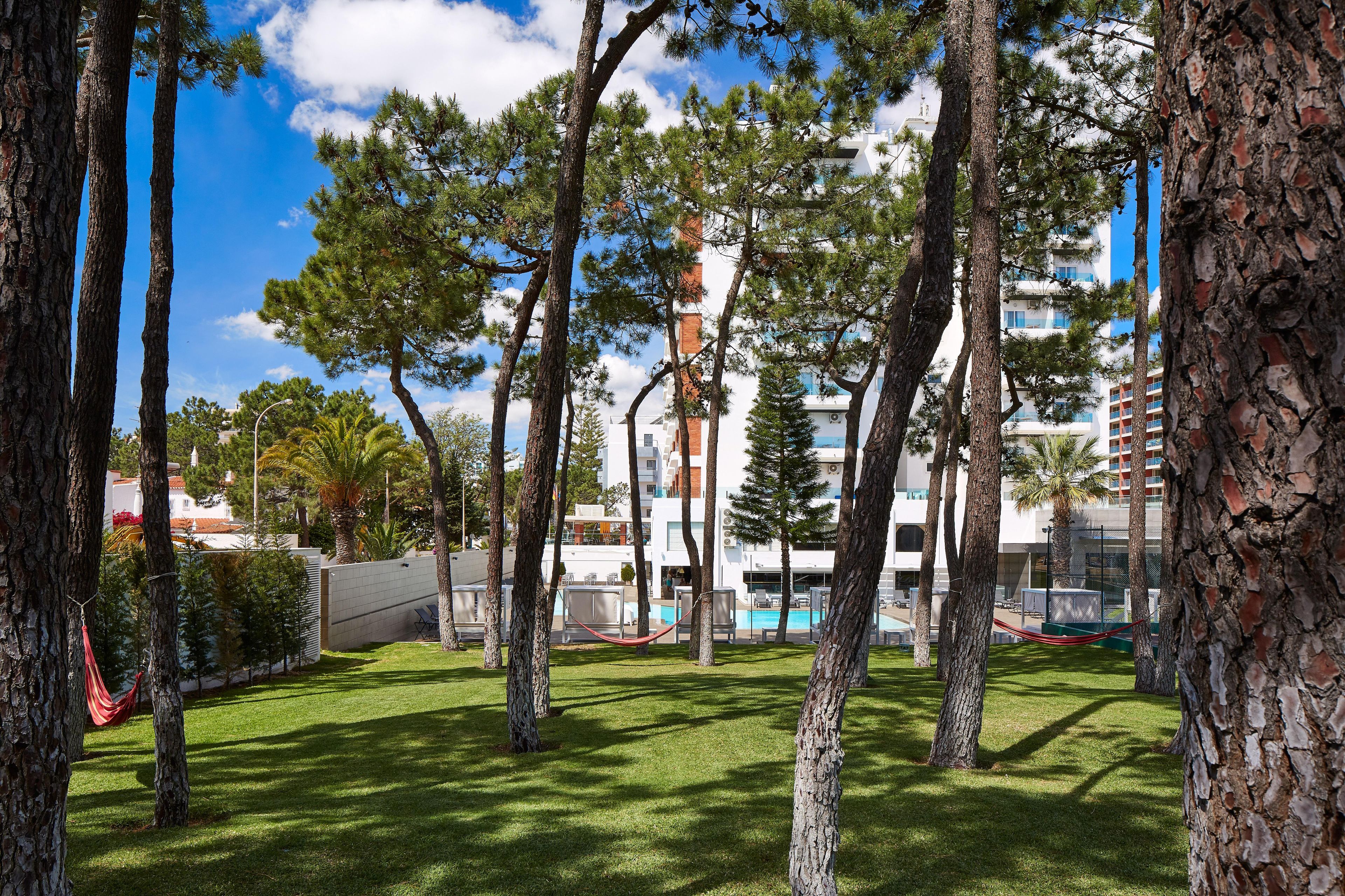 A courtyard with trees, a pool, and modern buildings in the background.