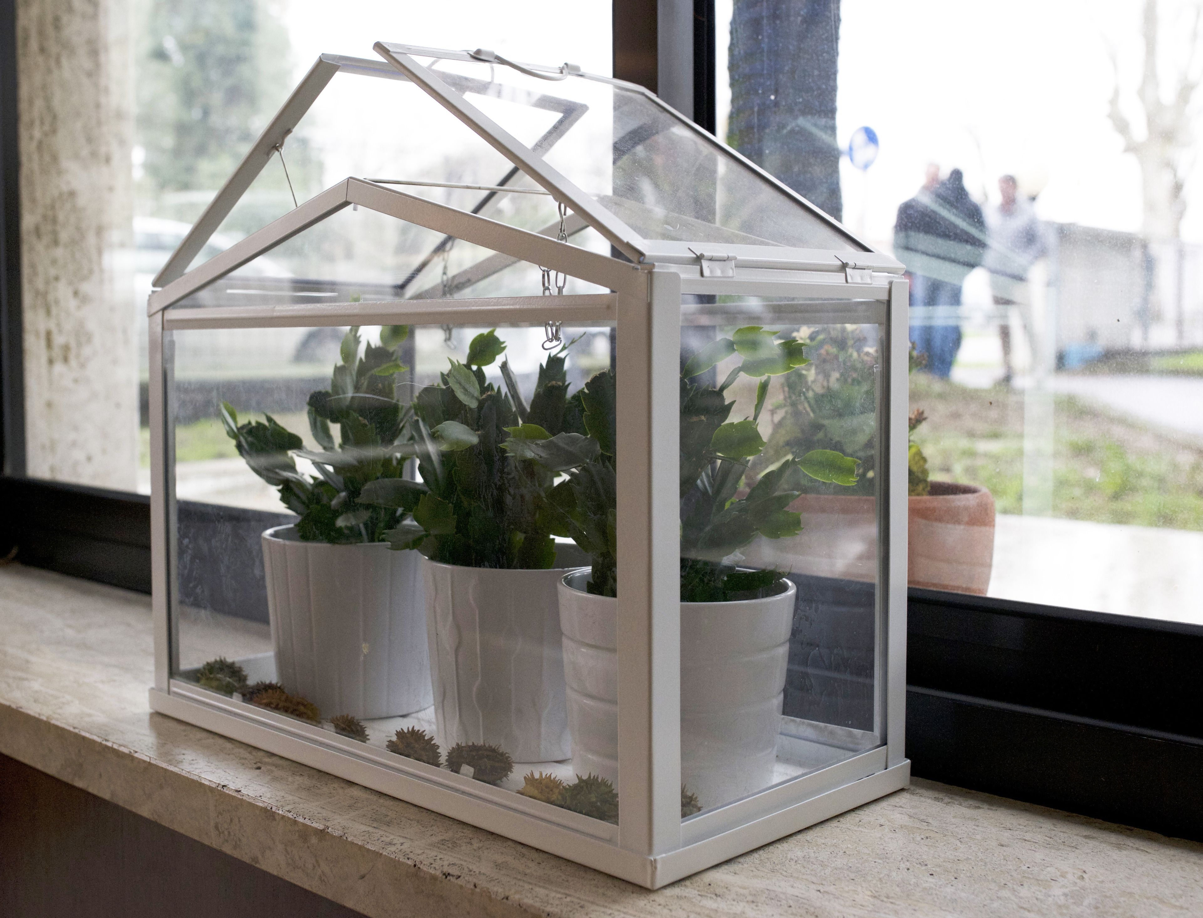 Een transparante, huisvormige plantenbak met twee planten in potjes op een vensterbank.