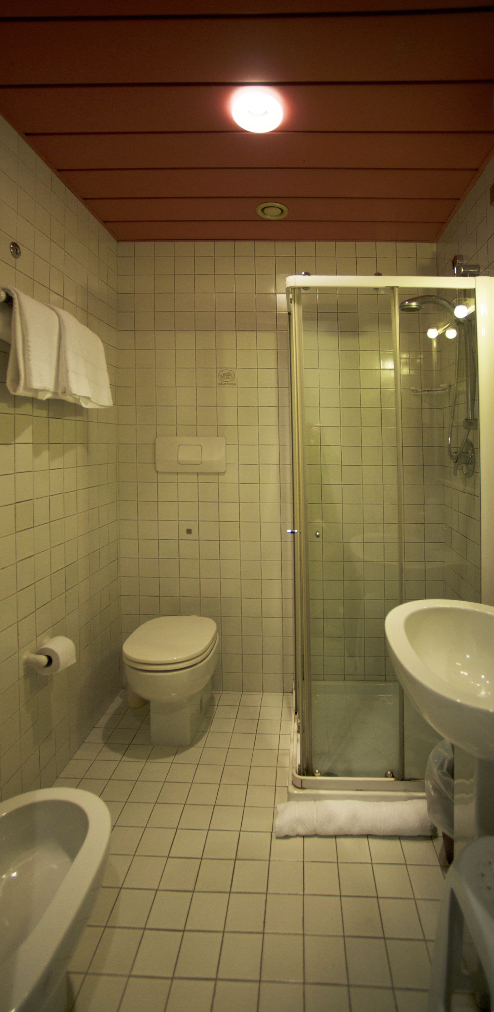 Ein Badezimmer mit Toilette, Bidet und einer Duschkabine.