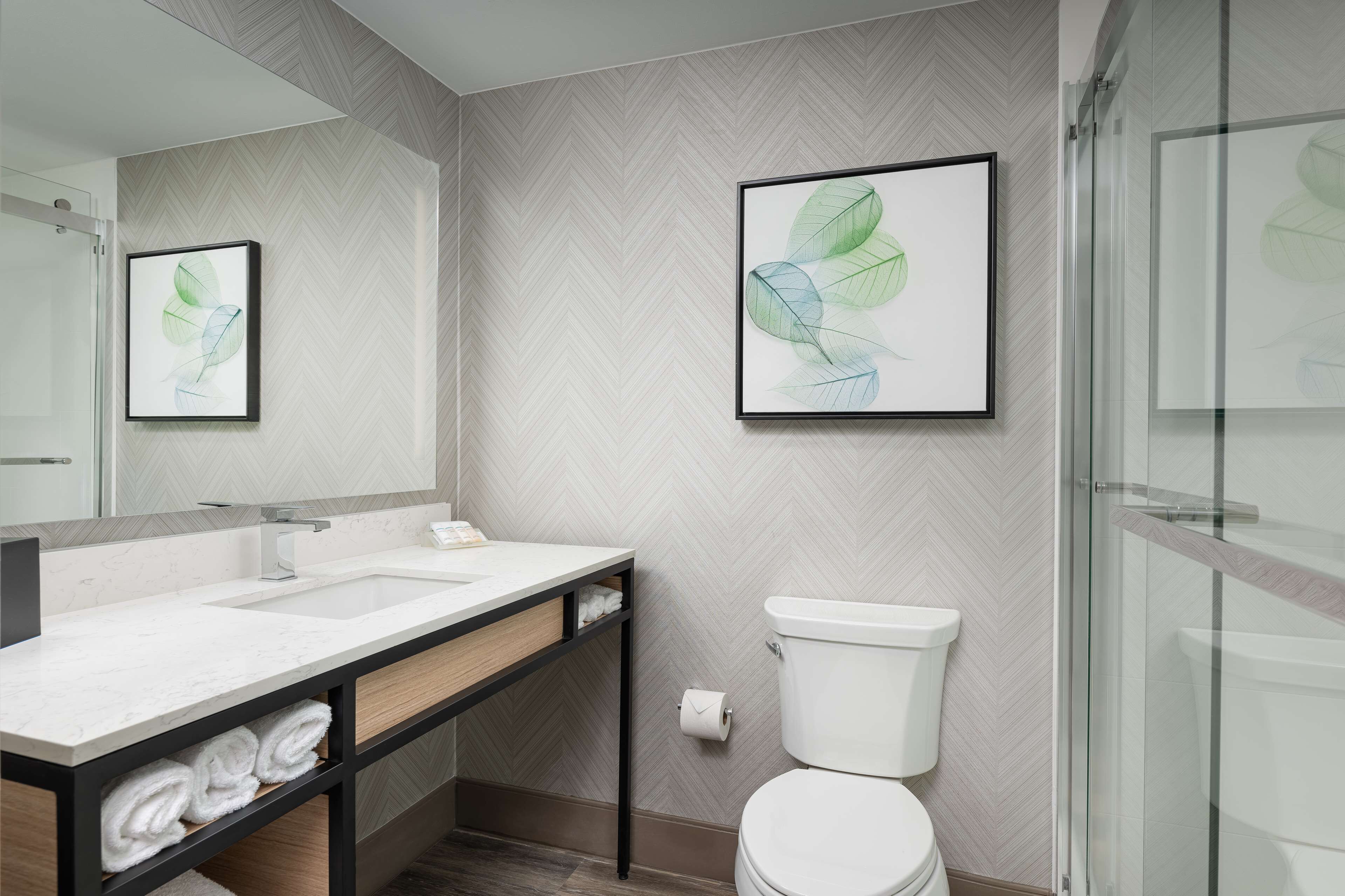 combined shower/bathtub, free toiletries, hair dryer, towels