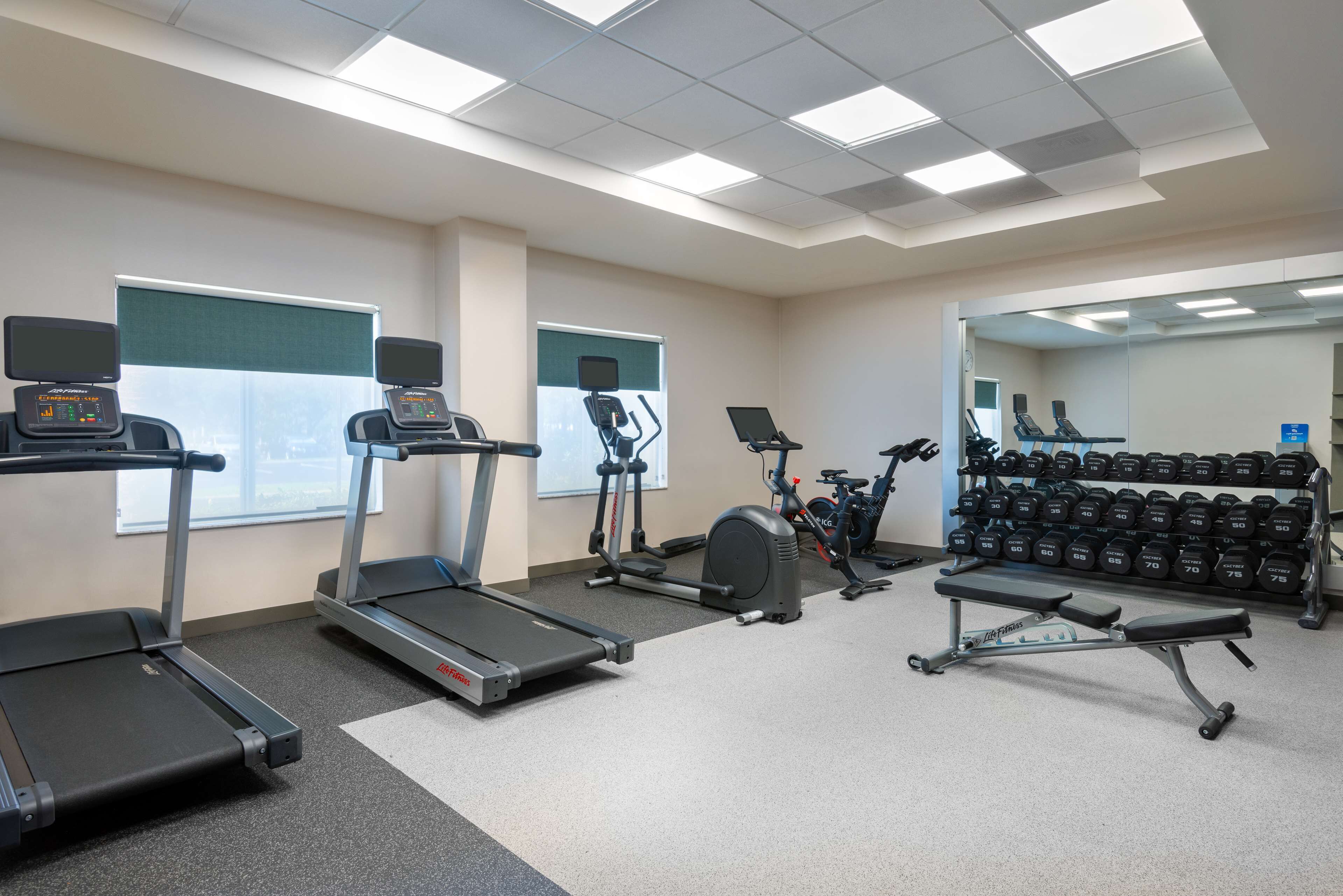 A gym with treadmills, an elliptical, a stationary bike, a bench press, and a rack of dumbbells.