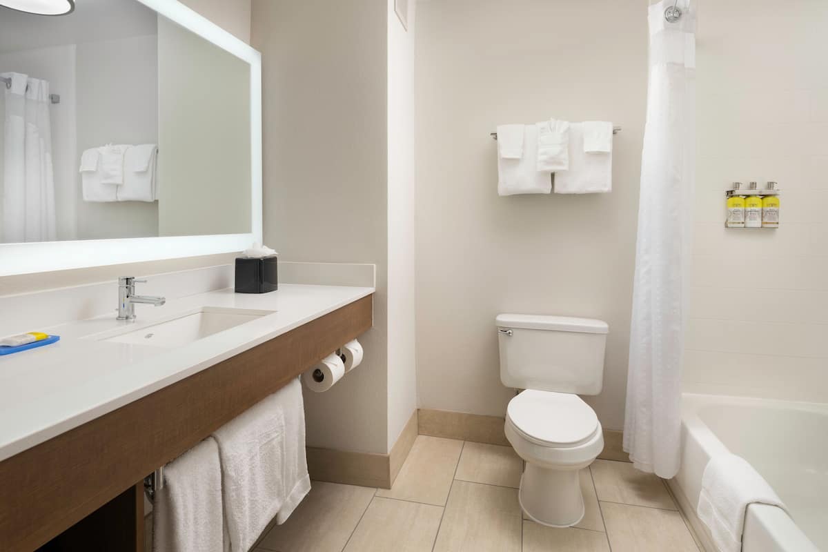 combined shower/bathtub, free toiletries, hair dryer, towels