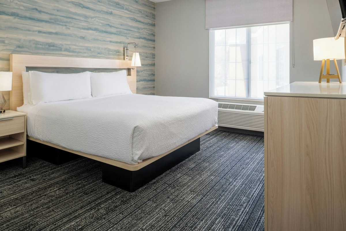 Suite, 1 King Bed with Sofa bed