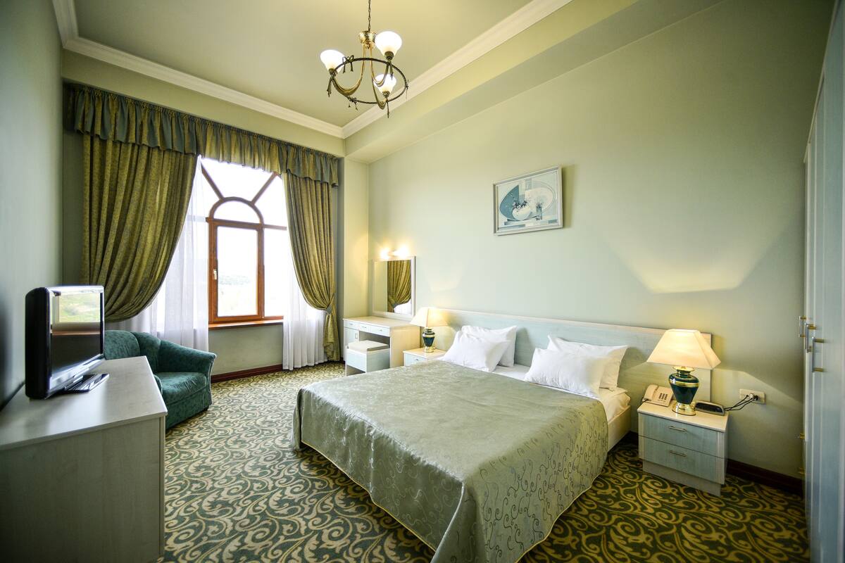 A hotel room with a bed, a desk, a chair, a television, a lamp, and a patterned carpet.