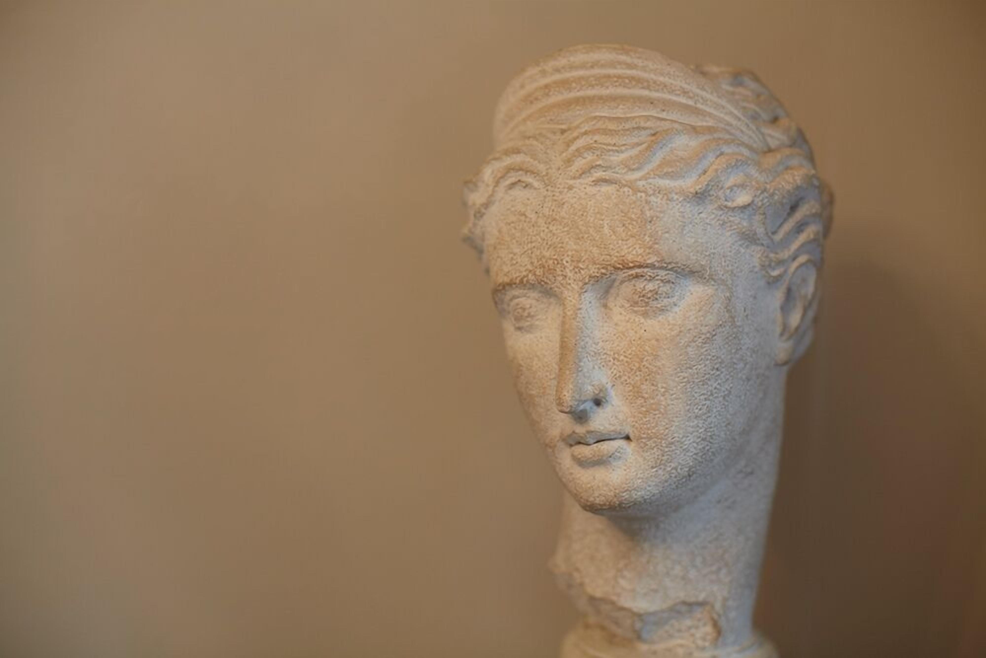 A classical sculpture with intricate detailing on the head and neck.