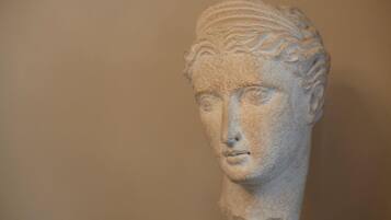 A classical sculpture with intricate detailing on the head and neck.