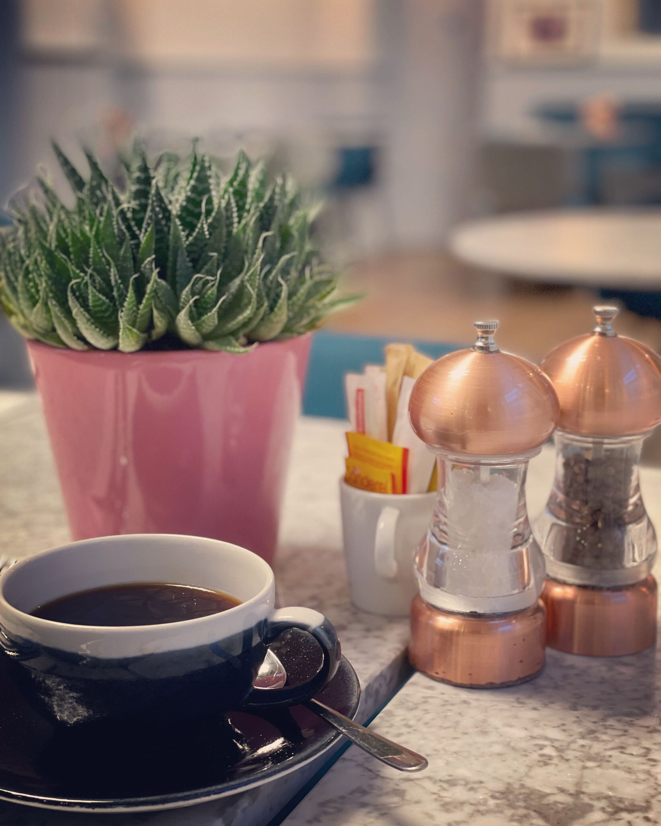 Un plan de travail de cuisine avec une tasse à café, une plante en pot rose, des salières et des poivrières, et un moulin à café.