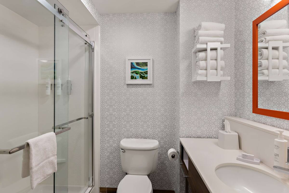 studio, accessible, non smoking | bathroom shower