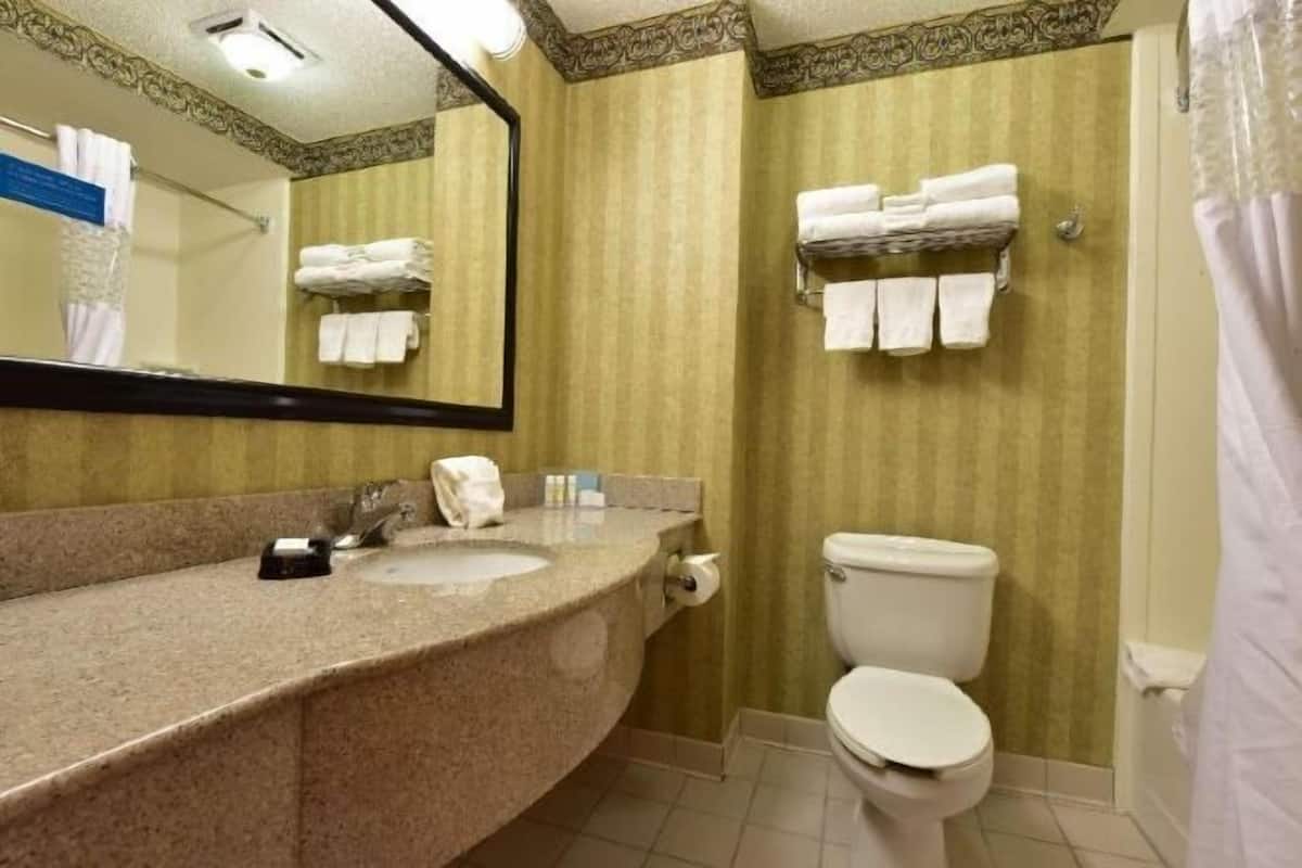 Baño | Ducha, secador de pelo y toallas