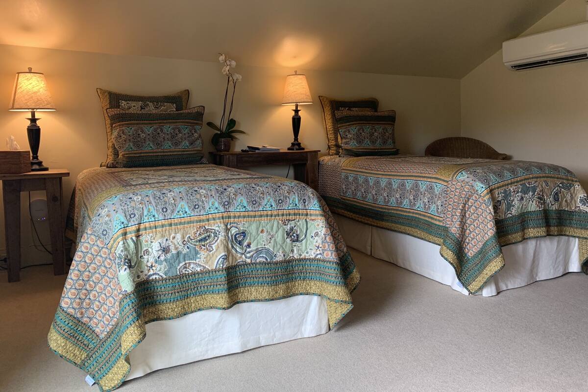 Duas camas de casal com roupa de cama estampada, luminárias de cabeceira, uma planta em vaso e um aparelho de ar condicionado na parede.